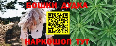 Альфа ПВП Канаш