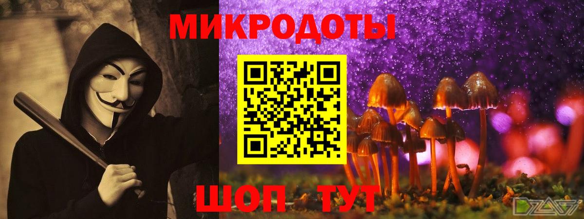 Псилоцибиновые грибы ЛСД Куйбышев