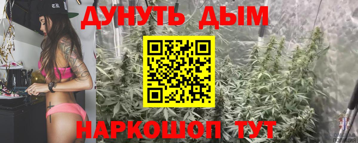 Куйбышев  Марихуана конопля  Вход с VPN  Бошки Шишки VHQ  Бошки Шишки Bruce Banner 